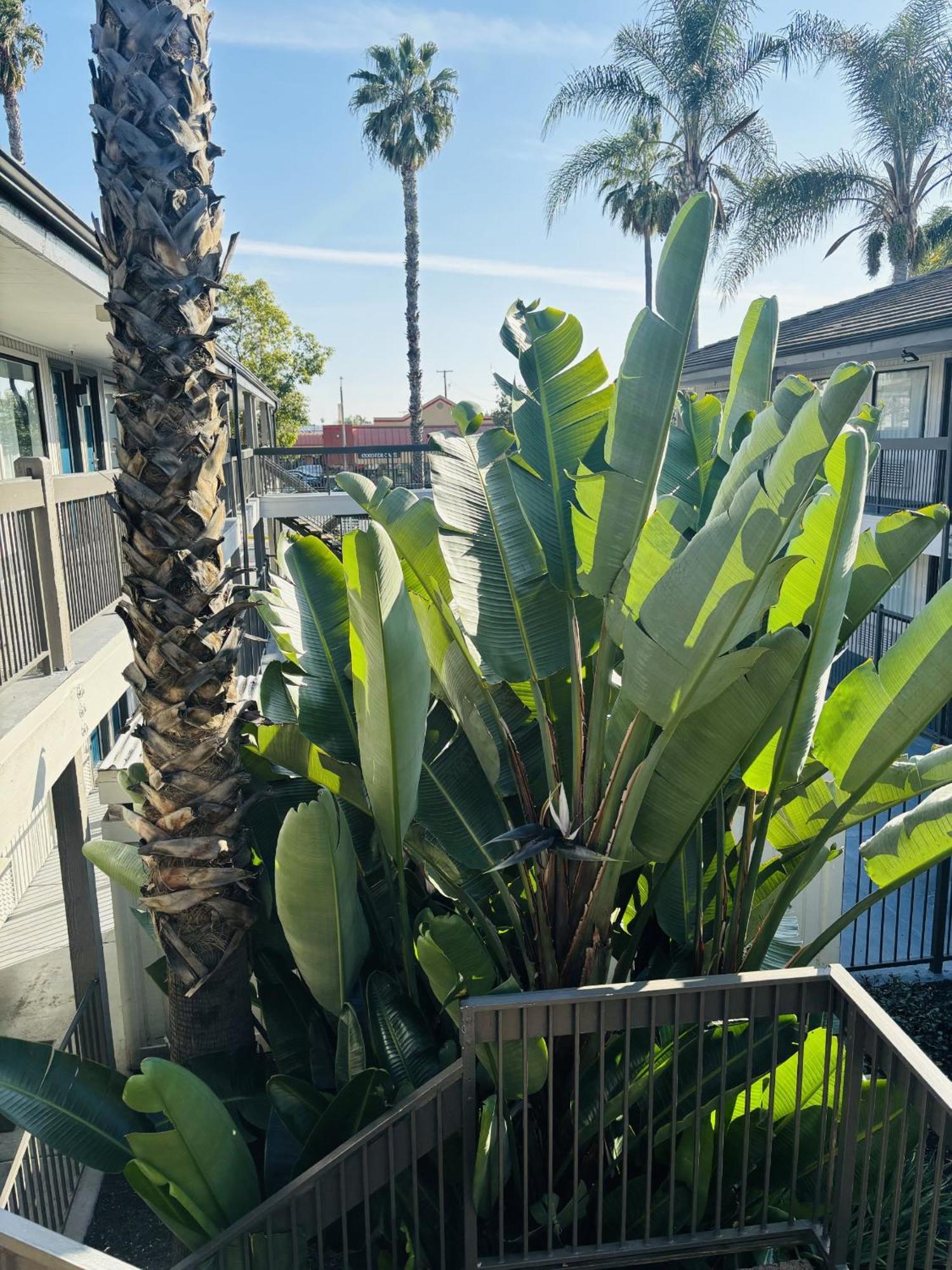 Motel 6-Santa Ana, Ca Eksteriør bilde